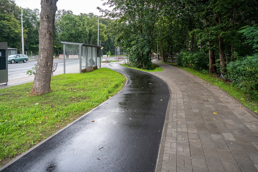 Skrzyżowanie alei Wielkiej Wyspy z ulicą Mickiewicza i aleją Paderewskiego